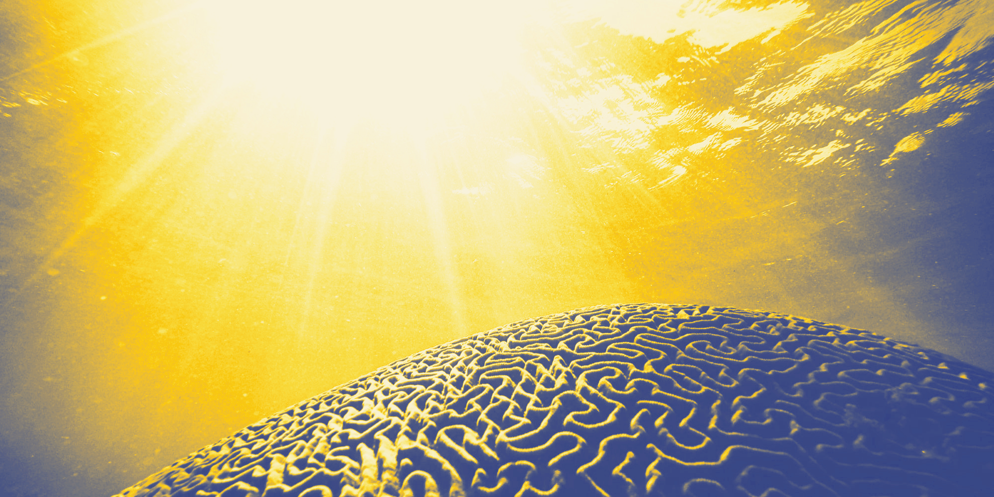 Free Webinars Ahead of AIDAQ 