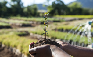 Financial Climate Contribution Through Our Partner Menschen für Menschen