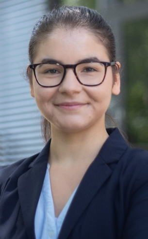 Pembe Gül Bilir