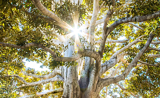 Climate factor AI: Majority of companies expect CO₂ savings